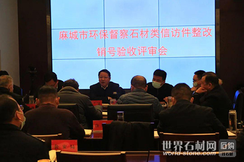 麻城整改驗收評審會